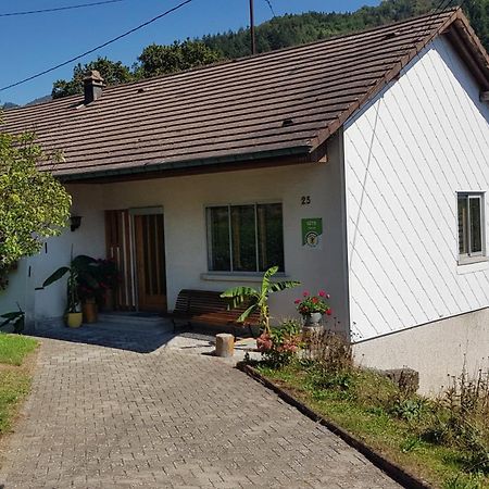 Les Noyers Du Wissbach Villa Willer-sur-Thur Exterior foto